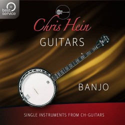 Chris Hein Guitars - Banjo Add-On
