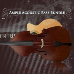 Ample 2in1 Acoustic Bass Bundle