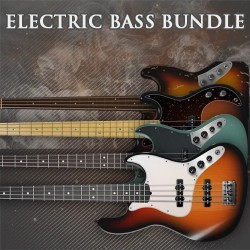 Ample 4in1 Electric Bass Bundle