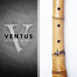 Lotus deals flute vst