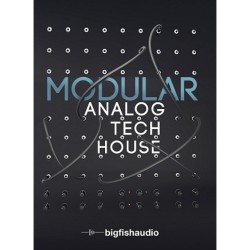 Modular: Analog Tech House