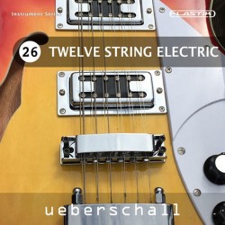 Twelve String Electric