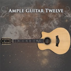 Ample Guitar Twelve - AG12