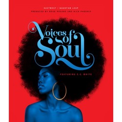 Voices of Soul