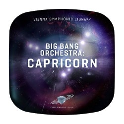 Big Bang Orchestra: Capricorn