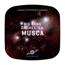 Big Bang Orchestra: Musca