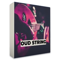Oud String