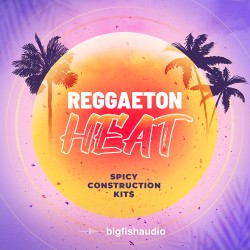 Reggaeton Heat: Spicy Construction Kits