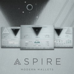 ASPIRE: Modern Mallets