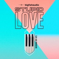 Stupid Love: Bedroom Pop Construction Kits