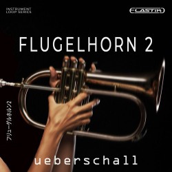 Flugelhorn 2