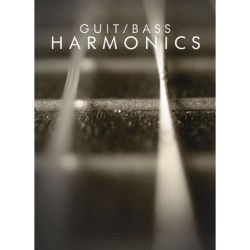 Guitar Harmonics