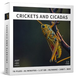 Crickets and Cicadas