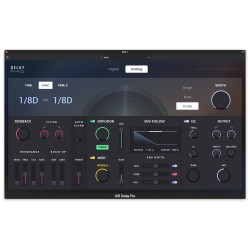 Delay Pro