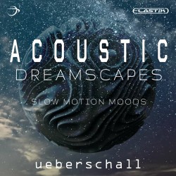 Acoustic Dreamscapes