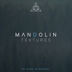 Mandolin Textures