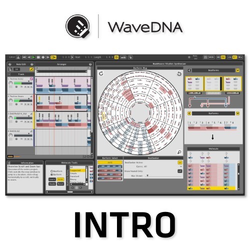 Liquid Rhythm Intro