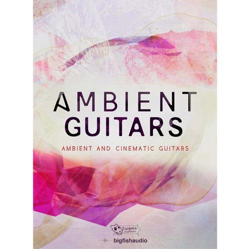 Ambient Guitars