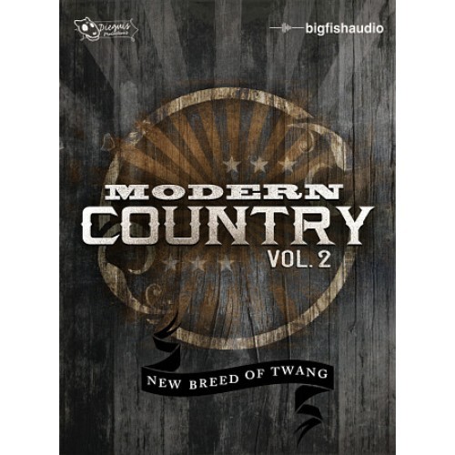 Modern Country Vol.2