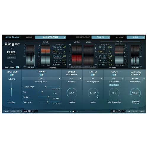 Jünger Audio Level Magic Stereo