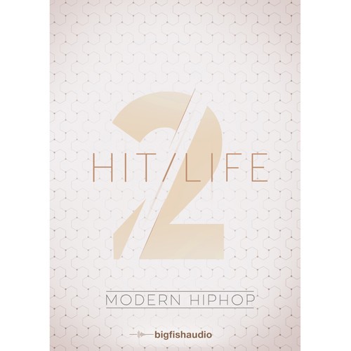 Hit Life 2: Modern Hip Hop