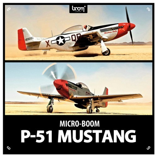 P51 - Mustang