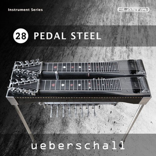 Pedal Steel