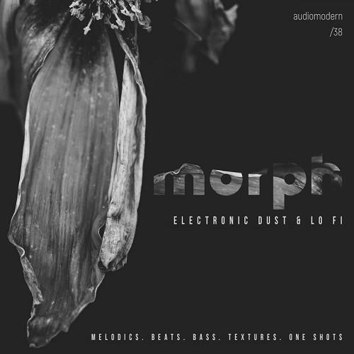 Morph