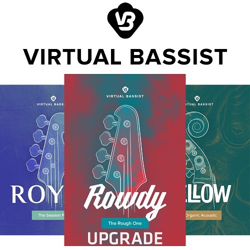 Virtual Bassist Bundle 2 Upgrade