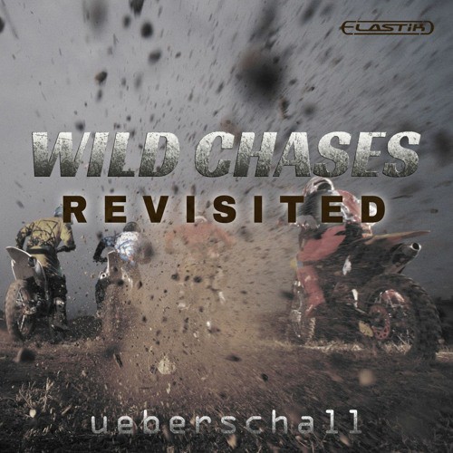 Wild Chases Revisited
