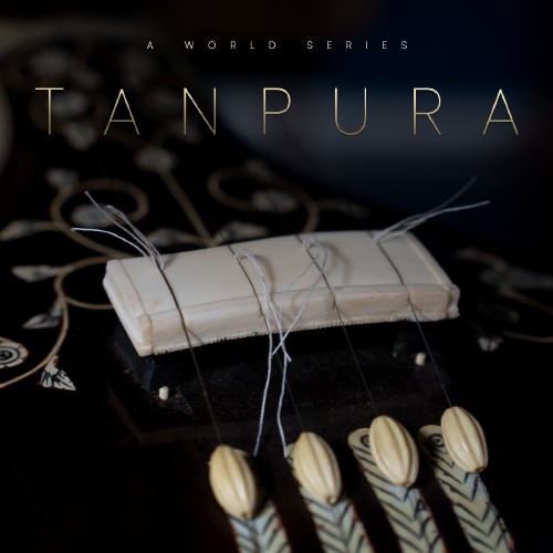 World Strings Tanpura