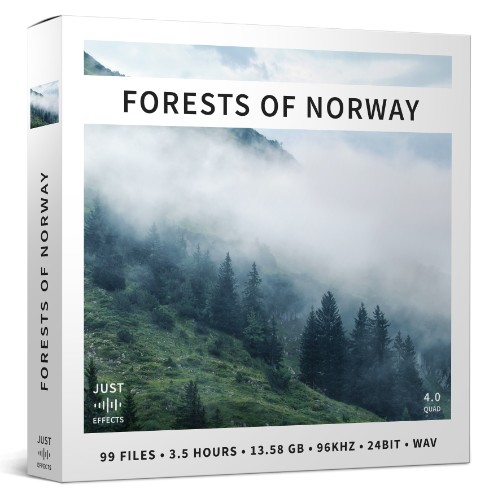Forests of Norway - Stereo