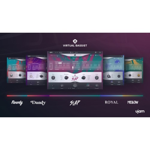 Virtual Bassist Bundle 2 Upgrade