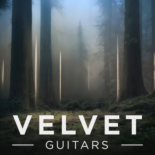 Velvet Guitars Crossgrade