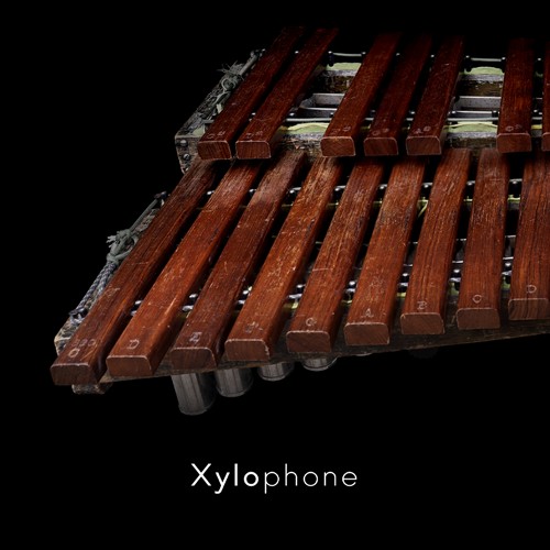 Xylophone