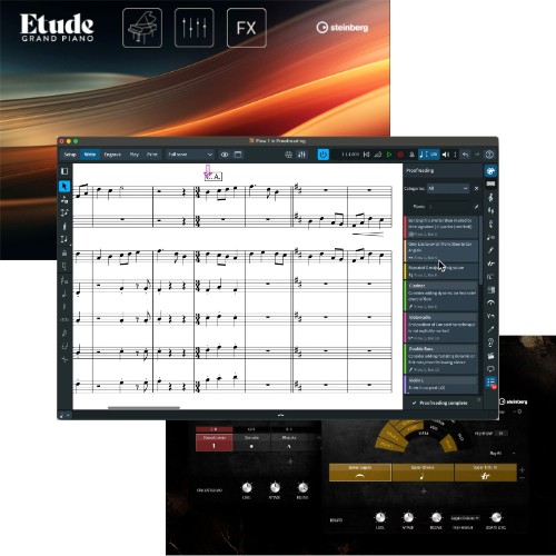 Dorico Pro 6 Crossgrade + Iconica Opus + Etude