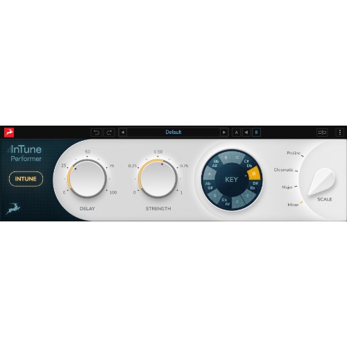 InTune Performer