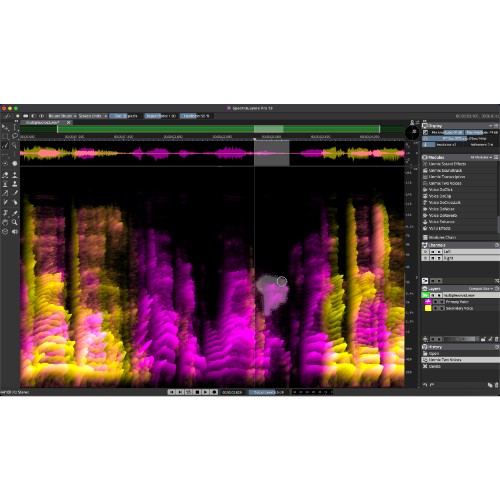 SpectraLayers 13 Pro Competitive Crossgrade