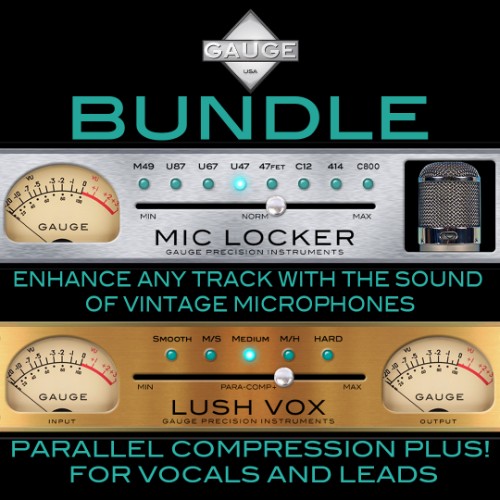 Gauge Bundle