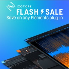 iZotope Elements Flash Sale 2022