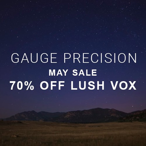 Gauge Precision - 70% Off