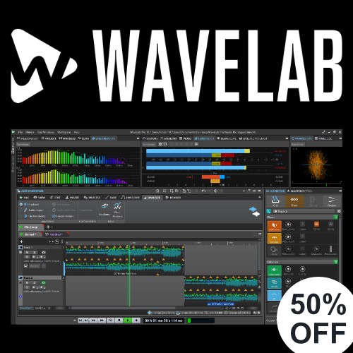 Steinbeg - 30 Years of Wavelab