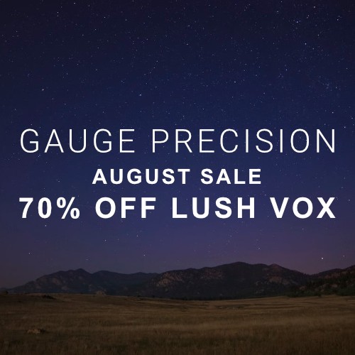 Gauge Precision - 70% Off