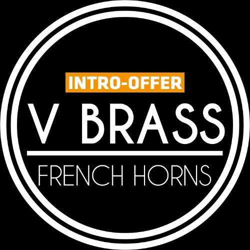 Acousticsample - Intro Offer