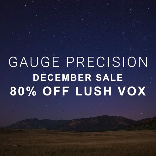 Deal Gauge Precision Instruments - 80% Off