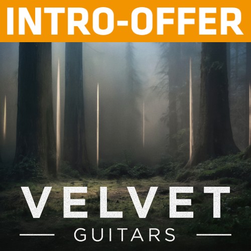 e-instruments - Velvet Guitars - Intro Offer