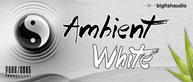 Ambient White Header