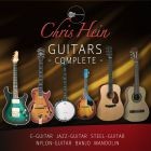 Chris Hein Guitars Complete