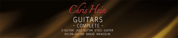 Chris Hein Guitars Header