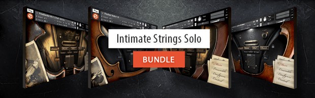 Intimate Strings Bundle HEader